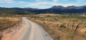 2023 Tour of '84 Derrick Bondi curves