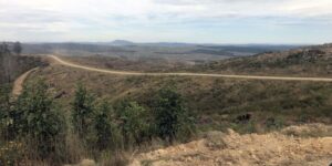 2023 Tour of '84 Derrick Bondi ridge