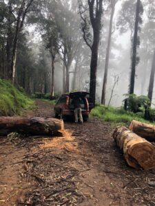 Tom and Rob Clearing Roads