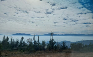Two Mile Creek Plantation (David Officer)