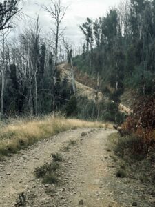 Run Up to Mt Pinnibar (Ian Swan)