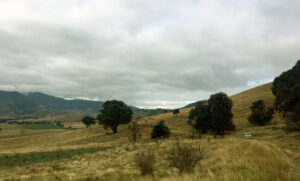Alan Chambers and Chris Mitchell cruising the Merc along the Old Highway (Ross Runnalls)