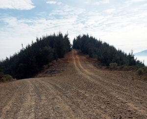 Choices (Drew Vallentine)