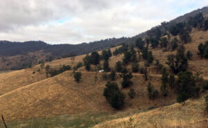 Gary Gibbons and Steve Trewin on Old Highway (Ross Runnalls)