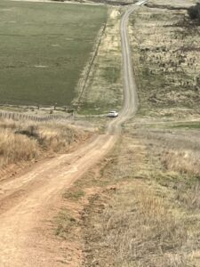 Hinno Bingo Control (Graham Wallis)