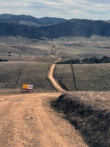 Hinno Bingo (Graham Wallis)