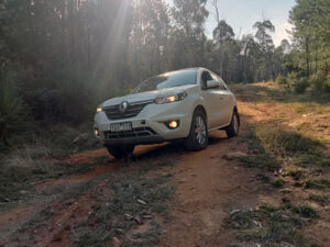 Mighty Koleos of Valentine-Hede (Drew Vallentine)