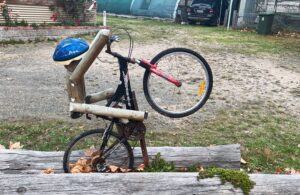 Omeo Wheelstander (Geoff Byron)