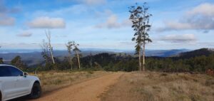 On Top of the World (David McKenzie)