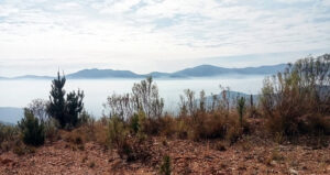 Inversion Layer Over Bright (Drew Vallentine)