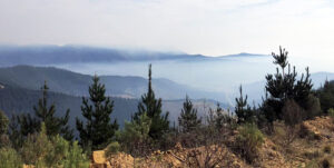 Day 1 Above Bright (Gerry Bashford)