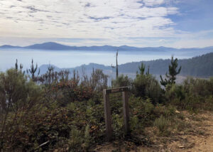 To Bright Day 1 (Gerry Bashford)