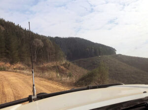 Day 1 Car in Distance (Gerry Bashford)