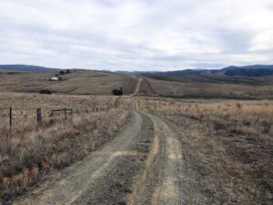 Day 2 Hinno Bingo (Gerry Bashford)