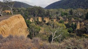 Pioneer Lookout, overlooking Oriental Claims Historic Area, SW of Omeo (Robin Smalley)